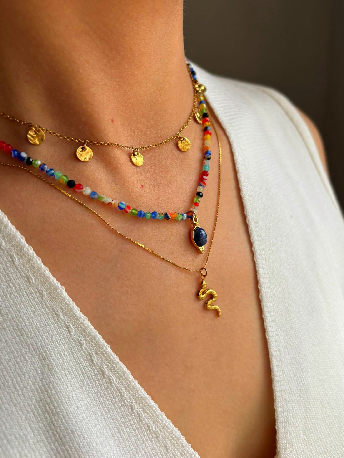 COLLAR SNAKE LOOKING FOR STONE