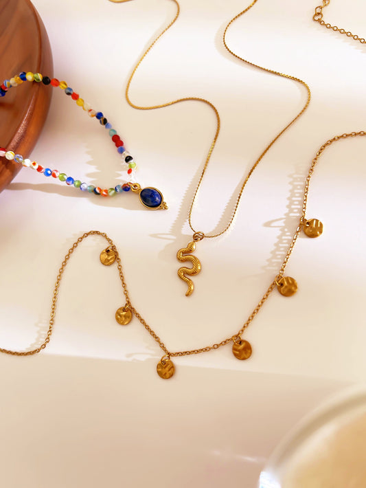 COLLAR SNAKE LOOKING FOR STONE