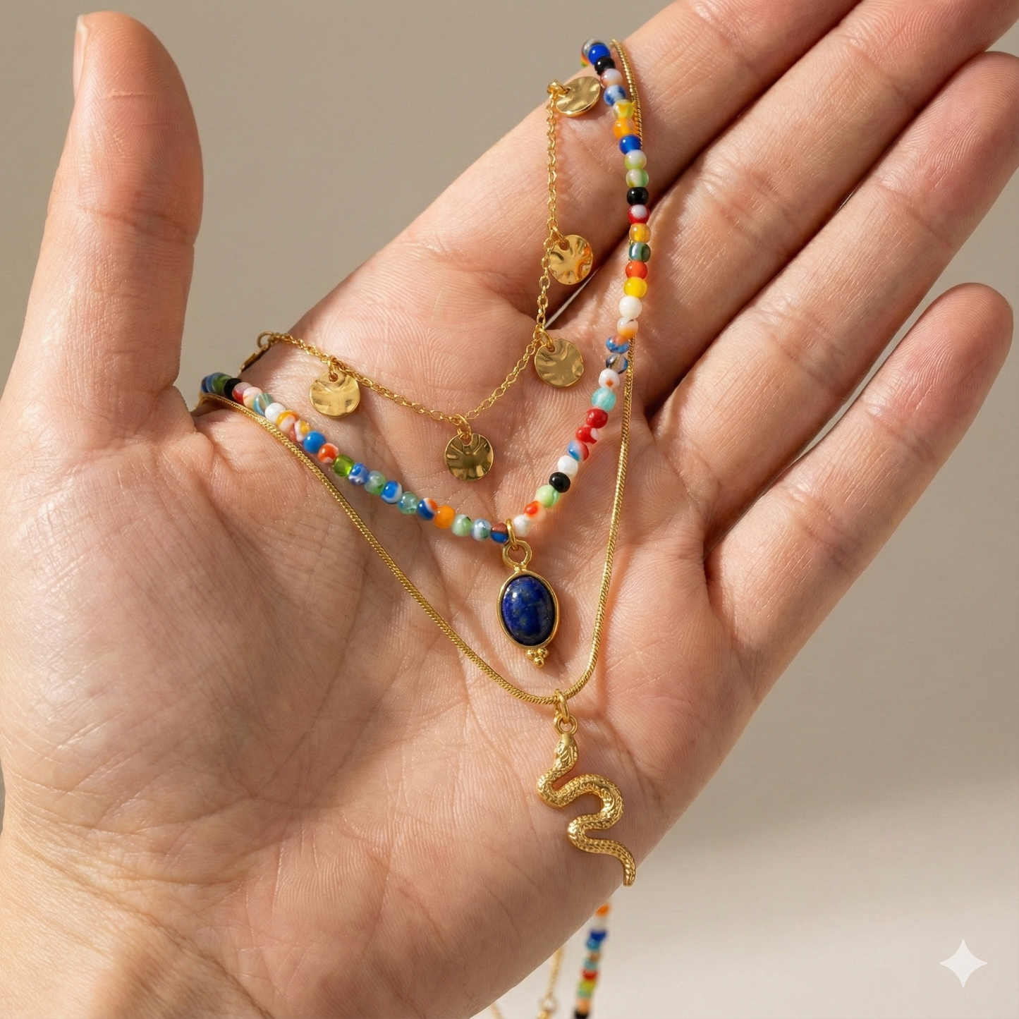 COLLAR SNAKE LOOKING FOR STONE